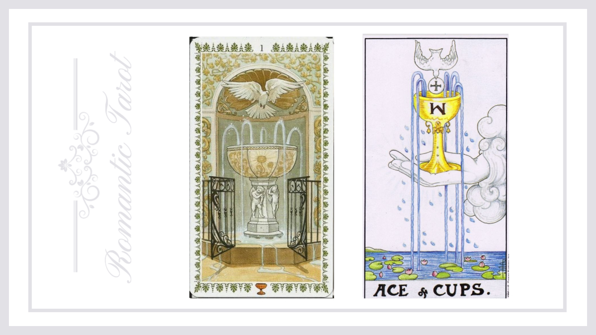 로맨틱타로 컵 에이스