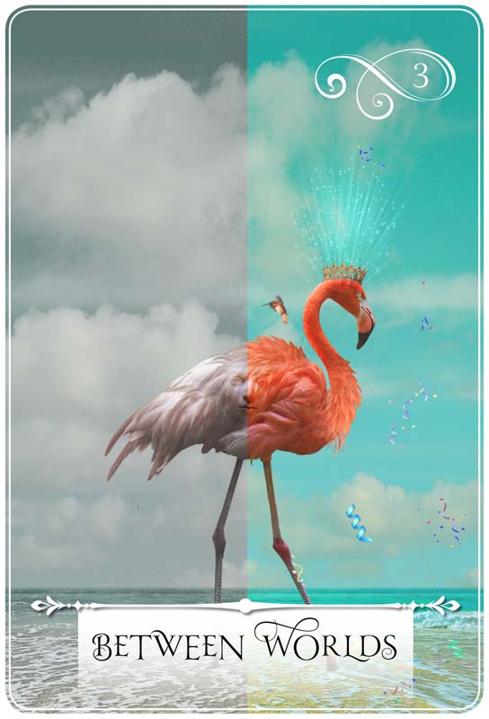 위즈덤 오브 더 오라클 BETWEEN WORDLS