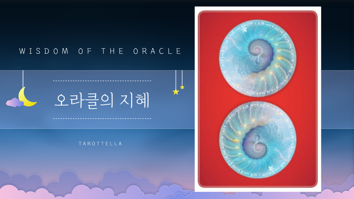 위즈덤 오라클 뒷면