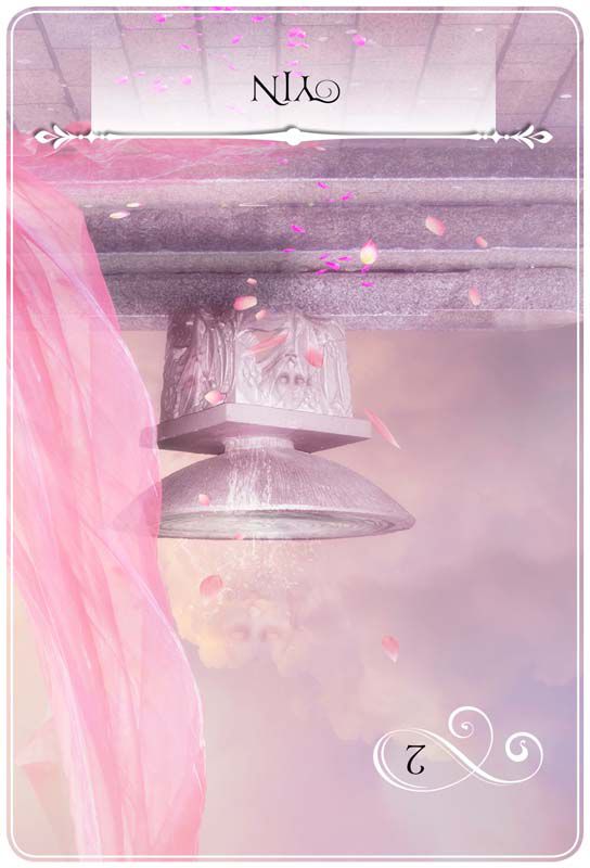 위즈덤 오브 더 오라클 YIN