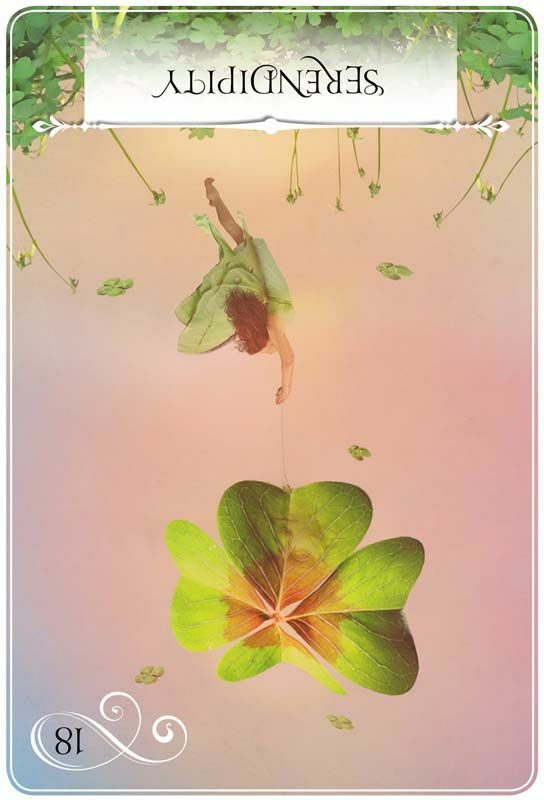 위즈덤 오브 더 오라클 SERENDIPITY