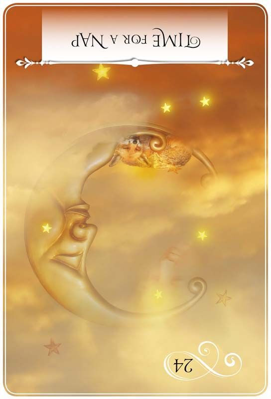 위즈덤 오브 더 오라클 TIME FOR A NAP