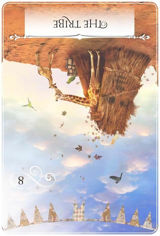 위즈덤 오브 더 오라클 THE TRIBE